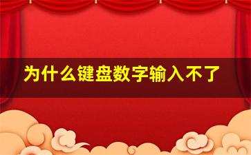 为什么键盘数字输入不了