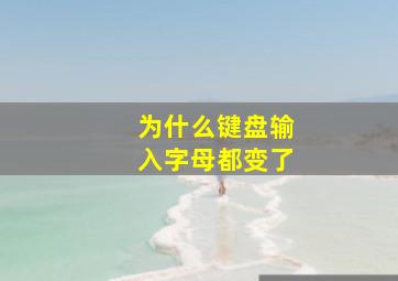 为什么键盘输入字母都变了