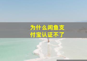 为什么闲鱼支付宝认证不了