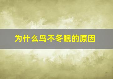 为什么鸟不冬眠的原因