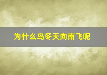 为什么鸟冬天向南飞呢