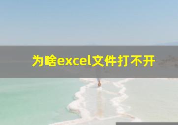 为啥excel文件打不开