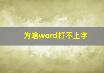 为啥word打不上字