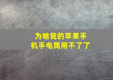 为啥我的苹果手机手电筒用不了了