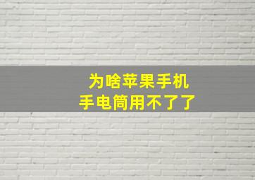 为啥苹果手机手电筒用不了了