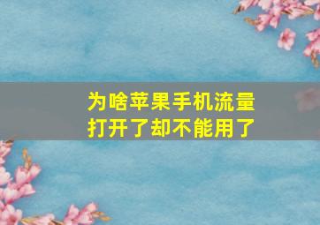 为啥苹果手机流量打开了却不能用了