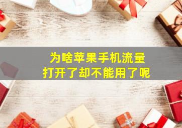 为啥苹果手机流量打开了却不能用了呢