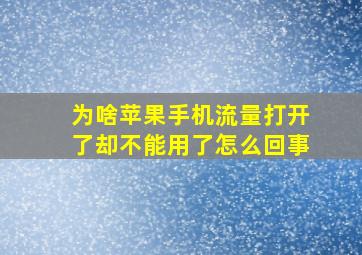 为啥苹果手机流量打开了却不能用了怎么回事