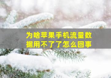 为啥苹果手机流量数据用不了了怎么回事