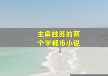 主角姓苏的两个字都市小说