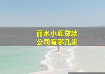 丽水小额贷款公司有哪几家