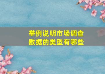 举例说明市场调查数据的类型有哪些