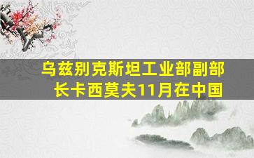 乌兹别克斯坦工业部副部长卡西莫夫11月在中国