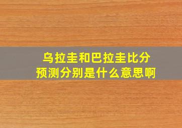 乌拉圭和巴拉圭比分预测分别是什么意思啊