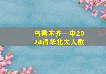 乌鲁木齐一中2024清华北大人数