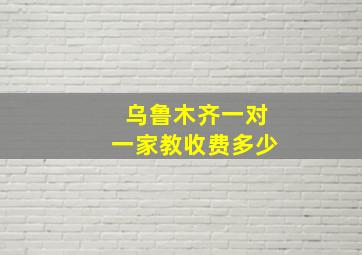 乌鲁木齐一对一家教收费多少