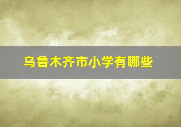 乌鲁木齐市小学有哪些