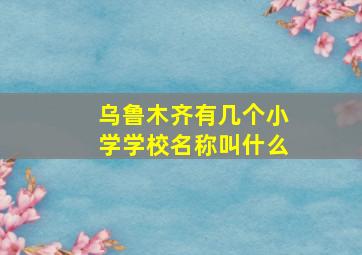 乌鲁木齐有几个小学学校名称叫什么