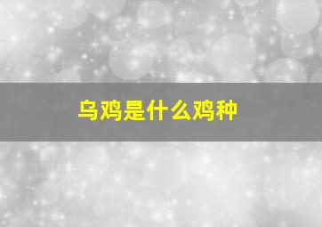 乌鸡是什么鸡种