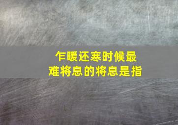 乍暖还寒时候最难将息的将息是指