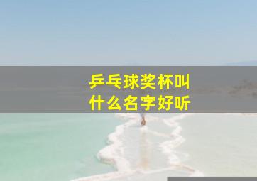 乒乓球奖杯叫什么名字好听