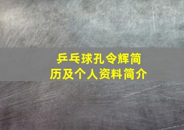 乒乓球孔令辉简历及个人资料简介