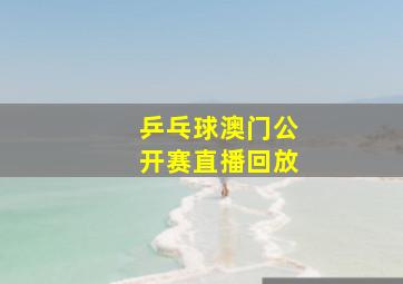 乒乓球澳门公开赛直播回放