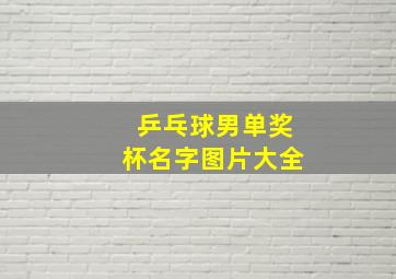 乒乓球男单奖杯名字图片大全