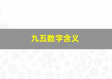 九五数字含义