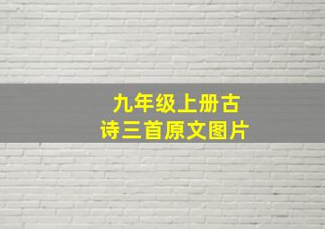 九年级上册古诗三首原文图片