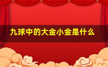 九球中的大金小金是什么