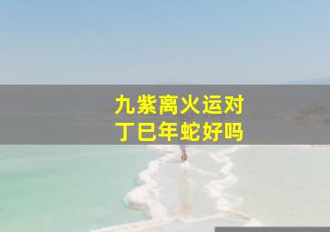 九紫离火运对丁巳年蛇好吗