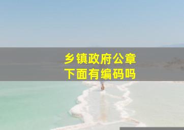 乡镇政府公章下面有编码吗