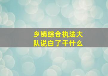 乡镇综合执法大队说白了干什么