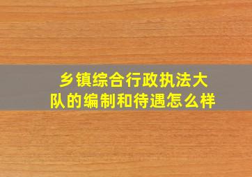 乡镇综合行政执法大队的编制和待遇怎么样