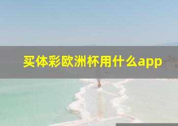 买体彩欧洲杯用什么app