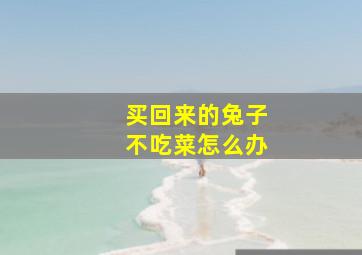 买回来的兔子不吃菜怎么办