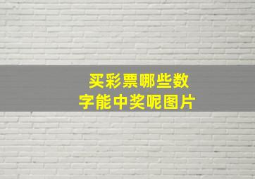 买彩票哪些数字能中奖呢图片