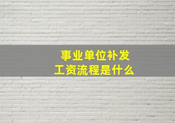 事业单位补发工资流程是什么