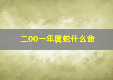 二00一年属蛇什么命