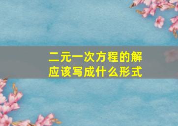 二元一次方程的解应该写成什么形式