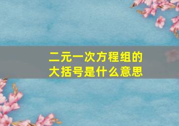 二元一次方程组的大括号是什么意思