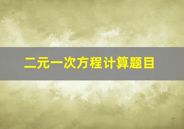 二元一次方程计算题目