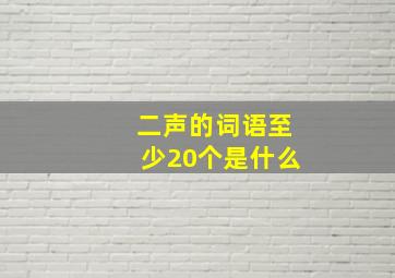 二声的词语至少20个是什么