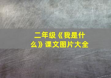 二年级《我是什么》课文图片大全