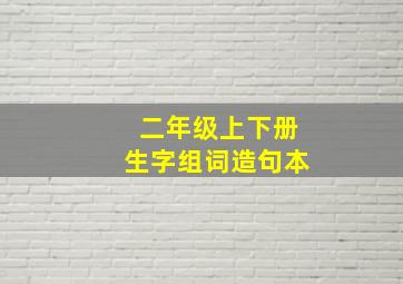 二年级上下册生字组词造句本