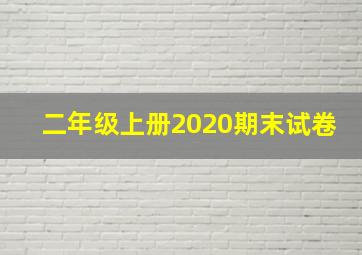 二年级上册2020期末试卷