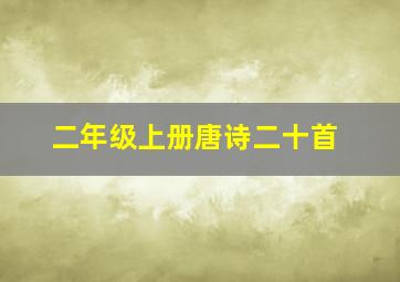 二年级上册唐诗二十首