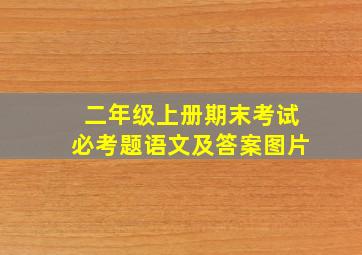 二年级上册期末考试必考题语文及答案图片