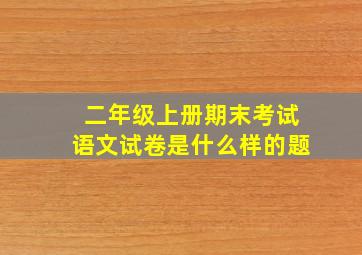 二年级上册期末考试语文试卷是什么样的题